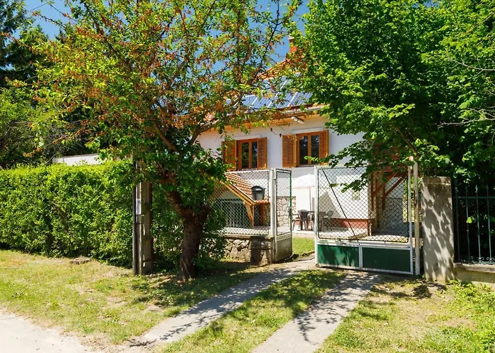 Amaryllis By Interhome *